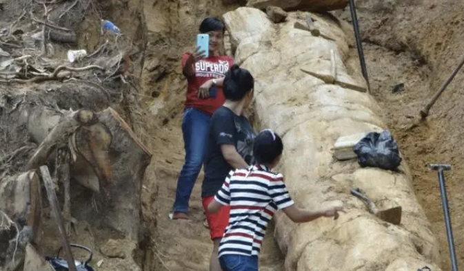 Foto: Destinasi Fosil Pohon Raksasa Desa Purwajaya di Kutai Kartanegara.