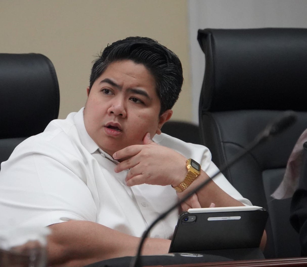 Wakil Ketua DPRD Kaltim, Ananda Emira Moeis